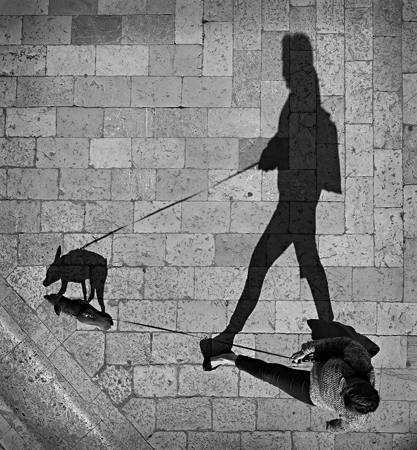 Walking The Dog