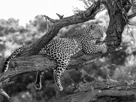 Just Hanging