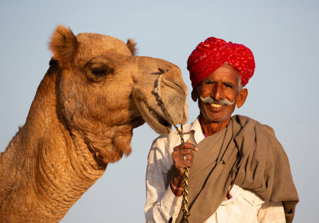 Camel Rider