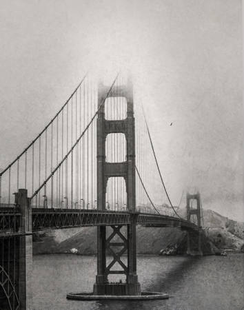 Fogged In