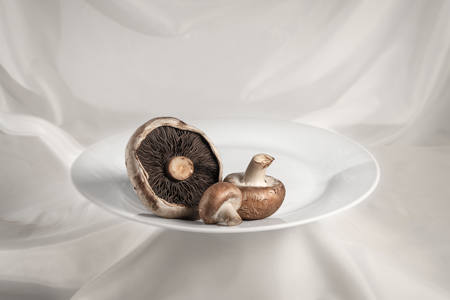 Mushrooms