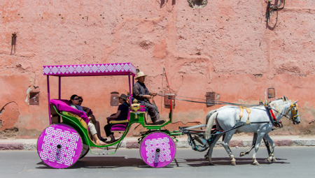 Marrakesh Joy Ride