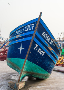 Essaouira Rosa II