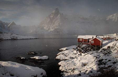 Moody Hamnoy