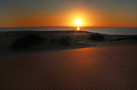 Sunrise on the Desert
