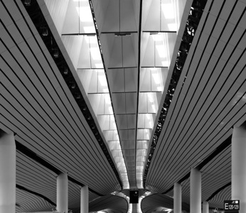 Daxing Airport Ceiling