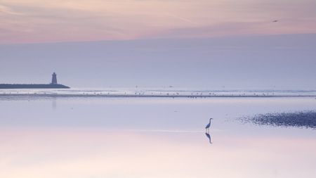 a morning stroll in Dublin Bay