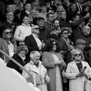 A day at the races