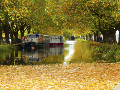Dublins grand canal