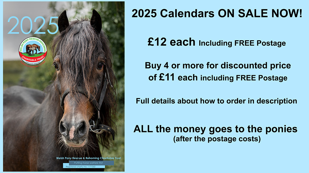 Welsh Pony Rescue & Rehoming Charity Trust Calendar