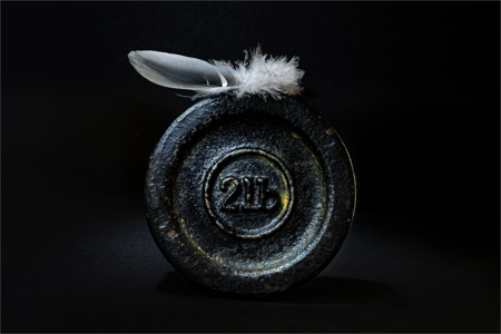 Featherweight_MG_0955-Edit