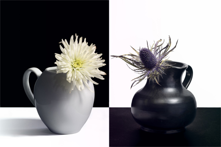 _MG_6307-Opposites attract