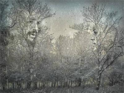View on Lightbox Tree Lovers