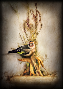 The Goldfinch