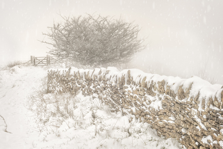 Ramblers gate Bredon Hill