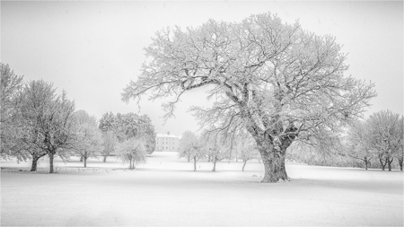 Tewkesbury park