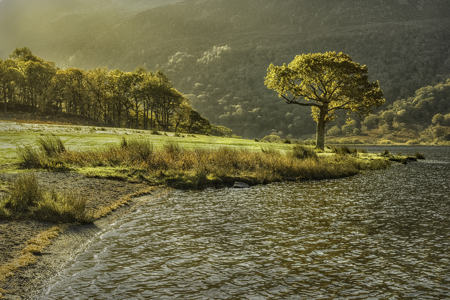 Moring light, Crummock water